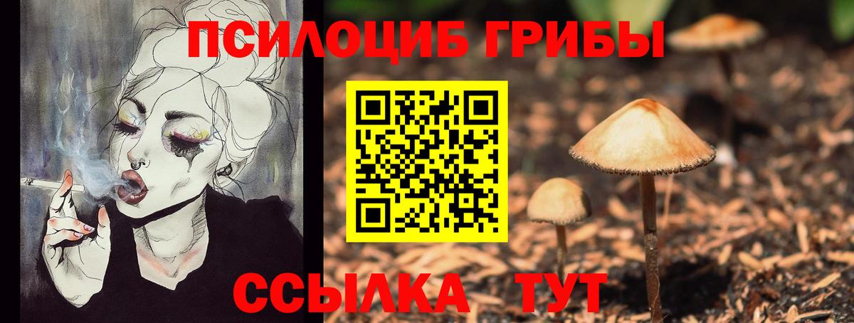 Протвино  Псилоцибиновые грибы Cubensis  Вход с VPN 